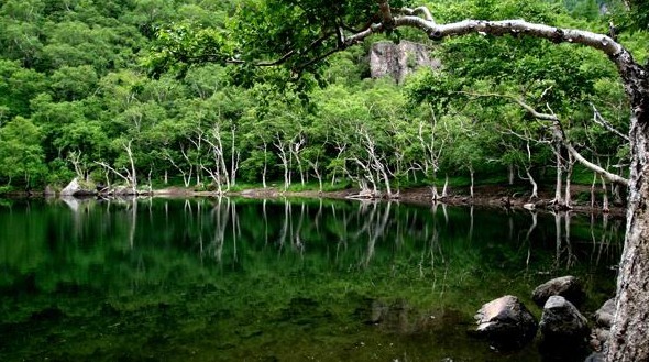 長白山西坡、十五道溝-望天鵝風(fēng)景區(qū)雙飛4日