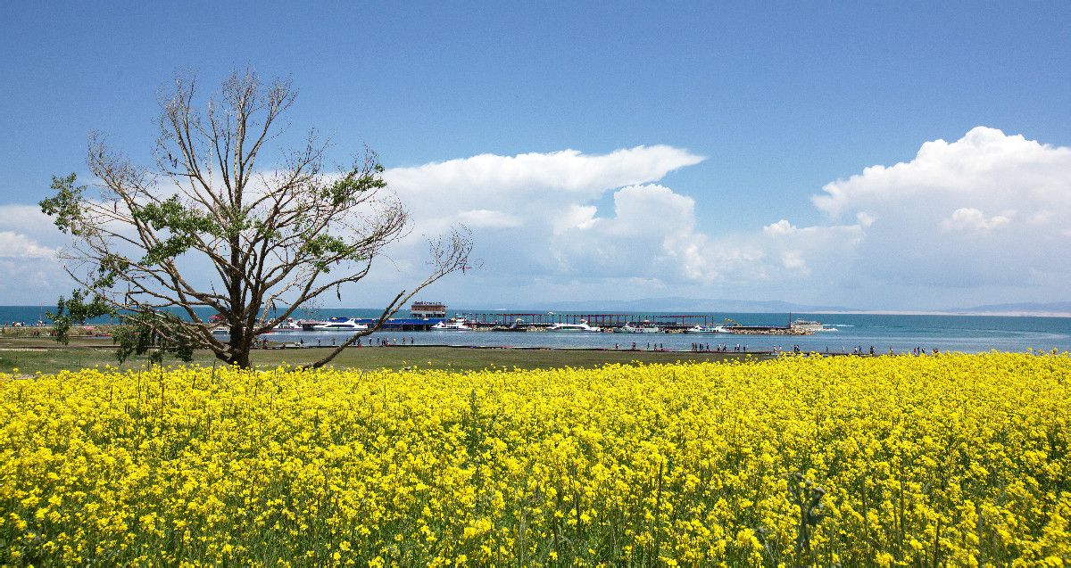 青海 寧夏雙飛5（北京成團，包機）